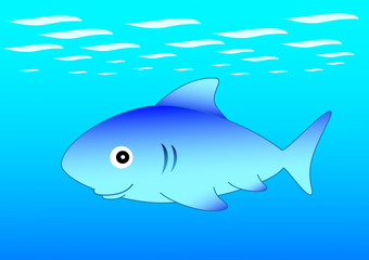 Blue shark