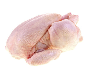 fresh raw whole chicken isolated on white background