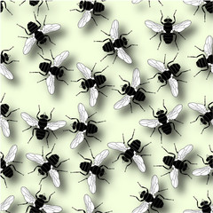 Flies