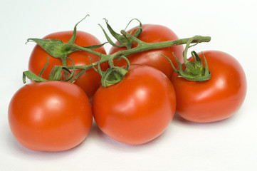 Tomatoes