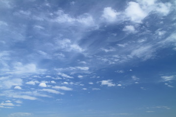 Fototapeta premium 青空