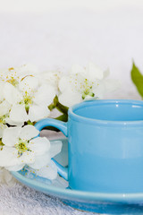 desayuno saludable, concepto