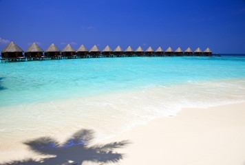 Shadow from palm tree and villa in ocean. .Maldives