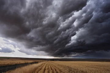 Photo sur Plexiglas Orage La tempête d& 39 automne