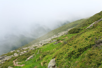 large stones on summer mountainside