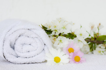 concepto de spa
