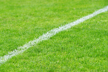 Fußball Seitenlinie diagonal - Soccer Grass