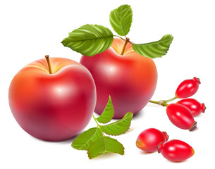 Red ripe apples and rose hips (dog rose hips).