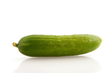 Fresh cucumber