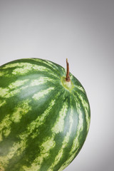 water-melon on gray background