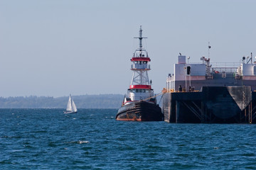 Tug at Barge with Sailboat