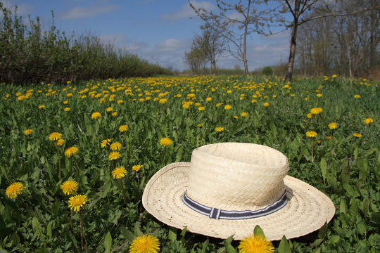 Hat on grass.