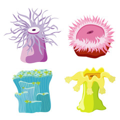 Group of four different nice actinium