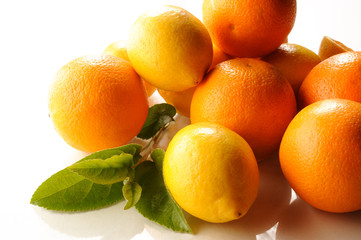 Agrumes,oranges,citrons