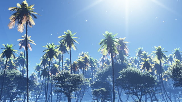 coconut palms under moonlight, stars twinkle in night sky.