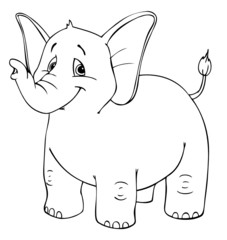 Elefant, Afrika, Zoo