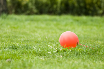 Red balloon in the green lawn