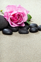 Fototapeta na wymiar Ambiance zen - rose et pierres noires