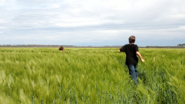 courir dans un champs de bl&eacute; vert