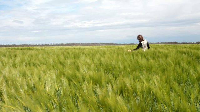 femme caressant les blés verts
