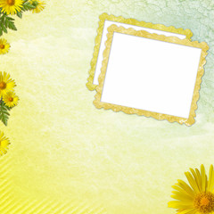 Summer background with frame and flowers for photo or congratula