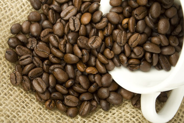 Fototapeta premium Coffee Beans