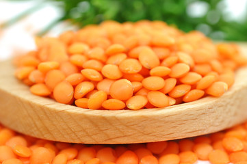 Hülsenfrucht
