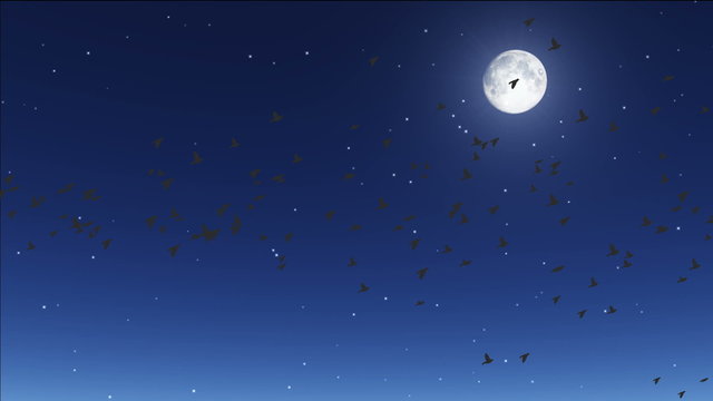 birds flying by moon, stars twinkling in night sky.