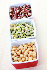vegetable sprouts