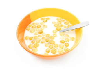 cereal and milk bowl