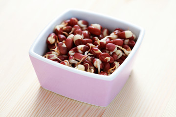 kidney beans sprouts