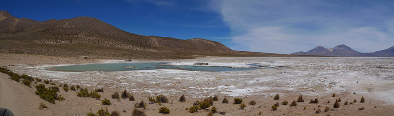 Salar de Surire