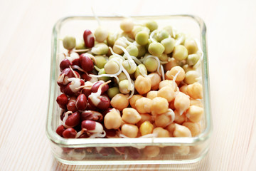 vegetable sprouts