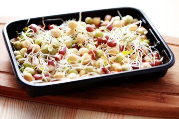 vegetable sprouts