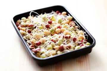 vegetable sprouts