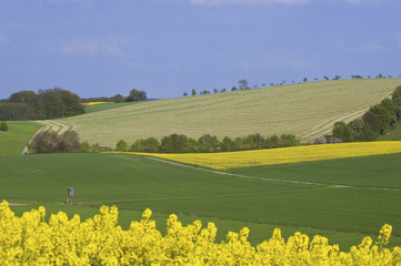 Kraichgauer Landschaft