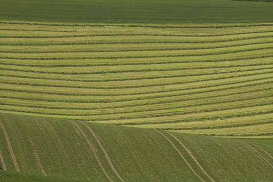 Wiesen Im Kraichgau