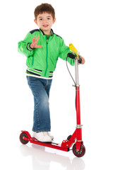 Little boy and his budgerigar on the scooter