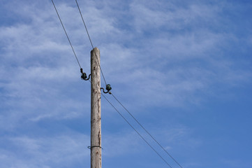 Obraz premium Alter Strommast