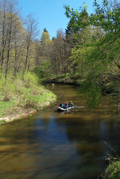 River in the forest