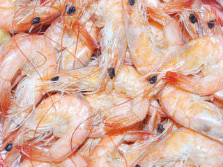 boiled shrimp