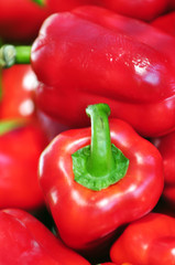 Paprika