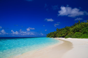 Fototapeta na wymiar Tropical Paradise na Malediwach
