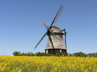 Windm&uuml;hle in Farve