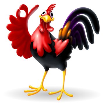 rooster