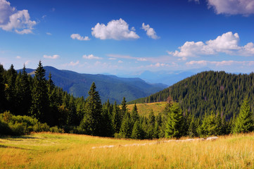 Summer landscape in mountains a sunny day