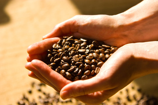 Kaffee Bohnen H&auml;nde Leinensack