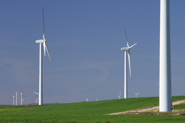 windmills