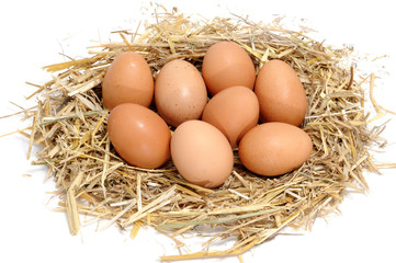 eggs