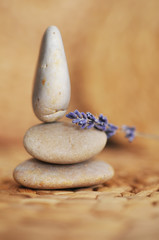 Lavendel, Gleichgewicht